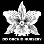 dd orchid nursery